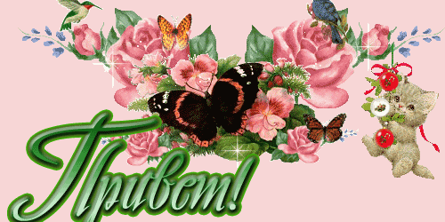 Картинки Что делаешь Привет. Картинки привет от меня. Привет картинки смешные.