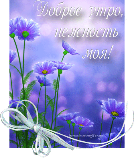 Открытка тебе в подарок Василёк добра и радости цветок. Открытка будь любимой...