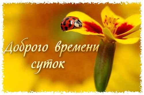 Анимационные открытки Доброго времени суток. Скачать картинки Доброго времени...