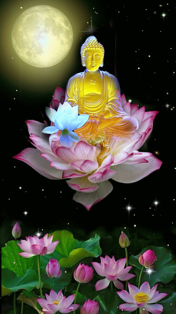 Открытка пурпурный Лотос. Открытка Фея в цветке лотоса. Открытка поляна лотосов.