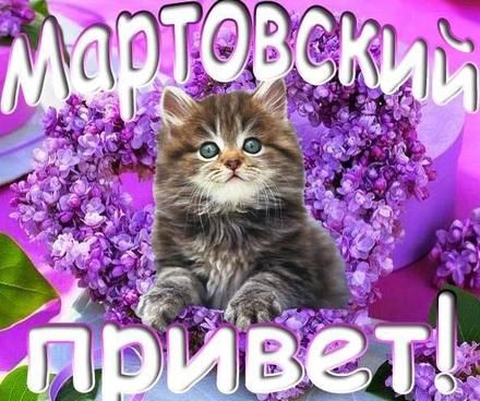 Скачать бесплатно сирень.  Открытки С днём рождения с сиренью.