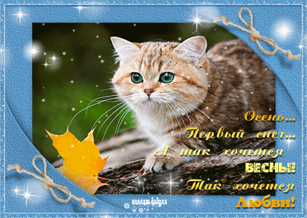 Картинки с первым снегом скачать бесплатно. Картинка Доброе утро с первым сне...