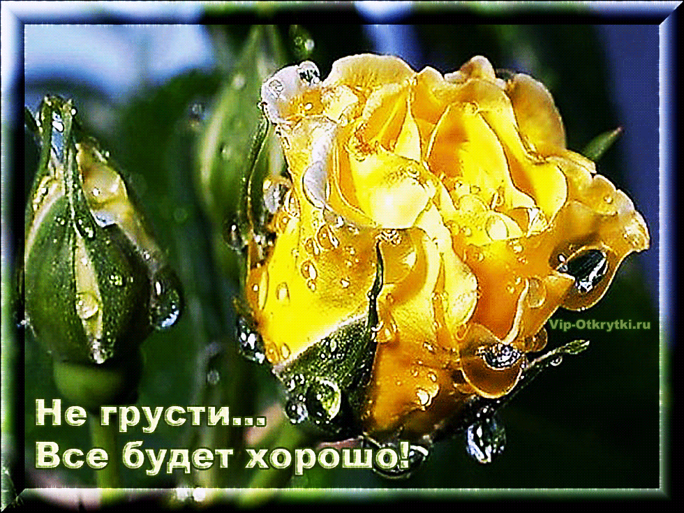 Открытки Не грусти анимация. Открытка не унывай. Картинки Не грусти я с тобой.