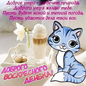 Открытки с воскресеньем прикольные. Открытка Хорошего воскресенья.