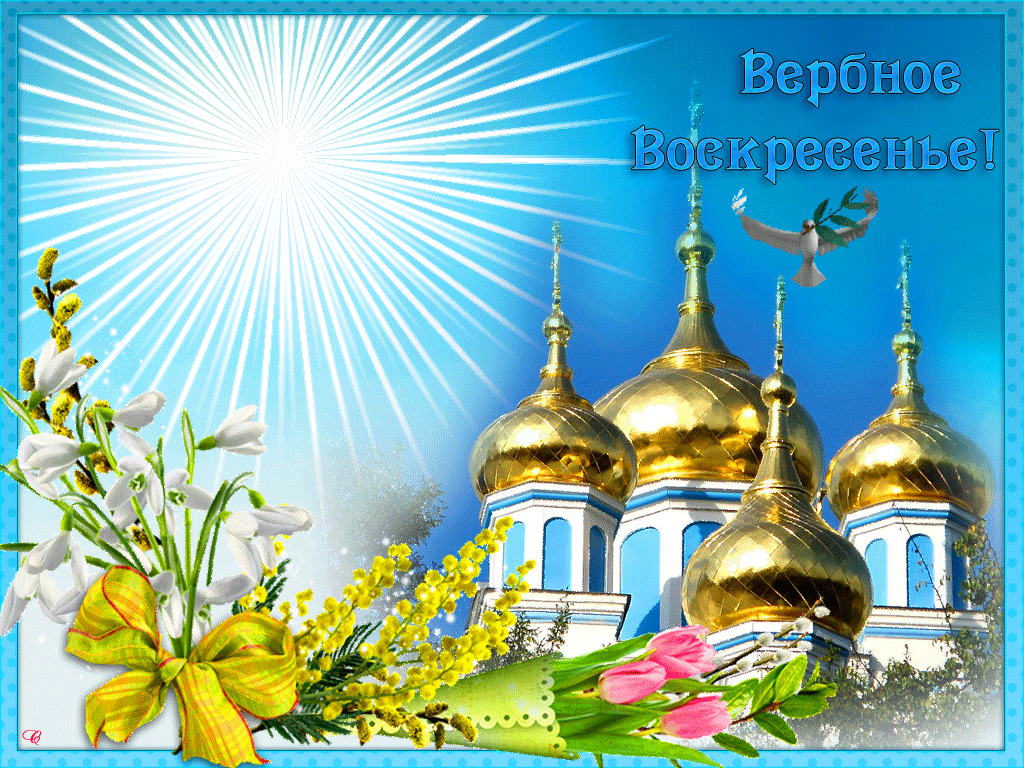 Открытки Открытка с вербным воскресеньем 2020. Открытка с вербным воскресеньем фото. Открытка с вербным воскресеньем анимация. Открытка с вербным воскресеньем Украина. Открытки с вербным воскресеньем. Открытки поздравления с вербным воскресеньем.