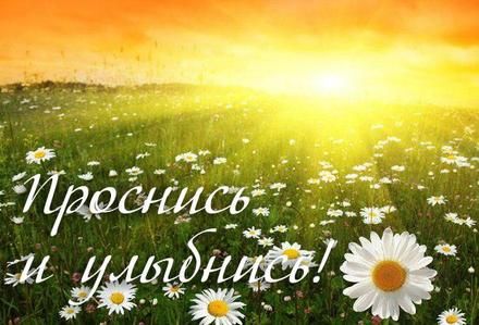 Картинки с ромашками. Картинки Спокойной ночи с ромашками.  