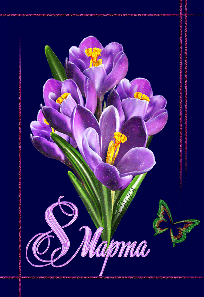 Крокусы в снегу фото. Красивые картинки крокусы. Открытка крокусы в снегу к 8...