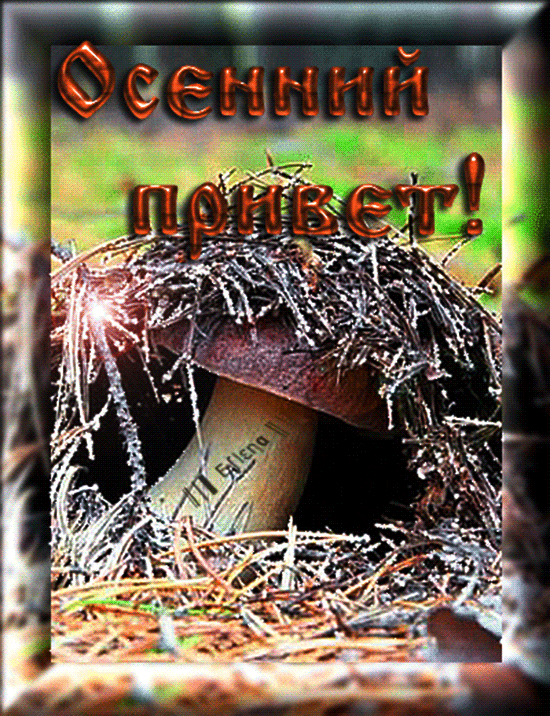 Прикольные картинки осенний Привет. Красивые картинки осенний Привет. 