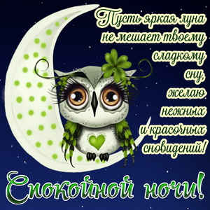 Открытки Картинки Спокойной ночи сладких снов. Скачать бесплатно Спокойной ночи любимый. К картинки Спокойной ночи милый нежные картинки Спокойной ночи картинки Спокойной ночи сладких снов живые картинки Спокойной ночи красивые картинки спокойной ночи парню.