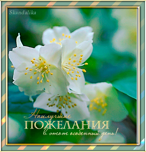 Открытка Доброе утро, с букетом жасмина и пионами. Открытка гиф анимация мерц...