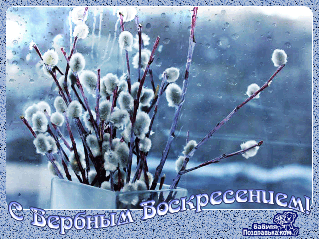 Открытки Вербное воскресенье скачать бесплатно без регистрации.