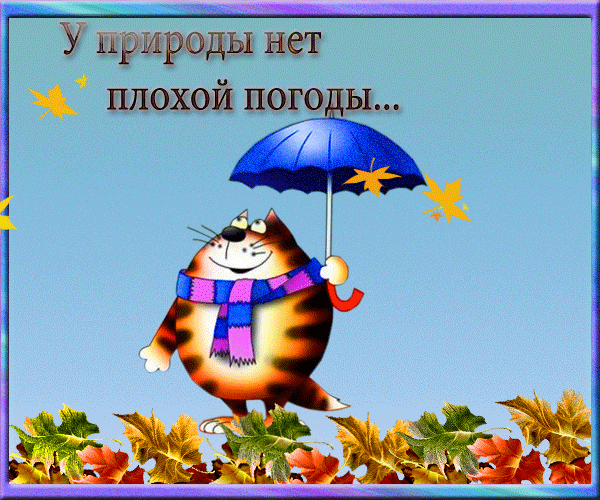 Открытка хорошей погоды картинки. Смешные картинки про холодную погоду.