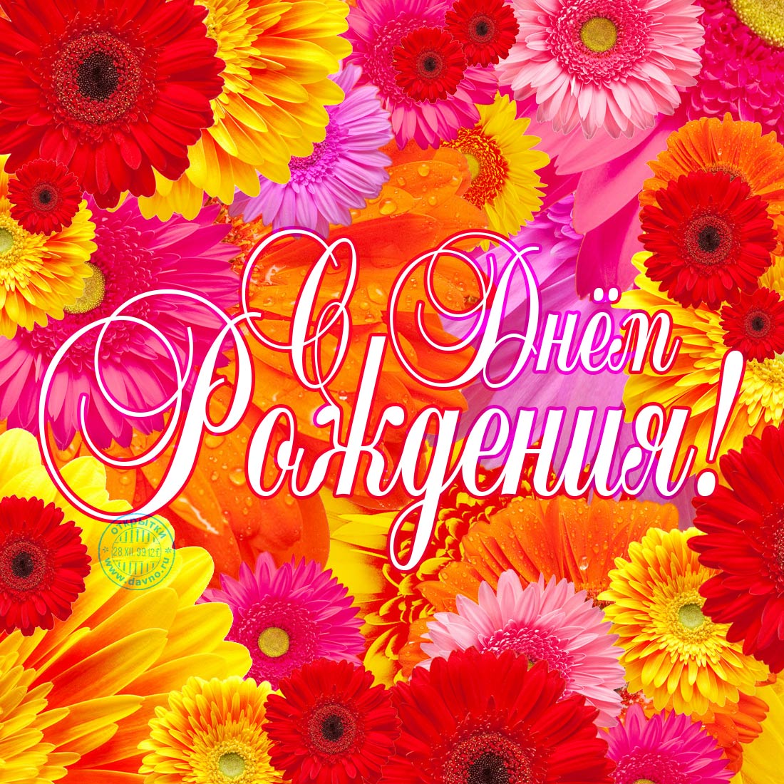 Открытка с букетом герберов и надписью на ленточке с Днём Рождением.