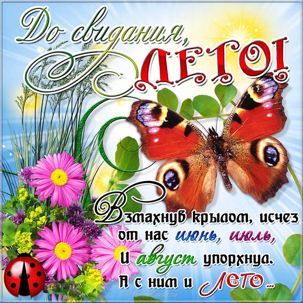 Скачать открытку с последним открытка поздравления с последним днем лета.