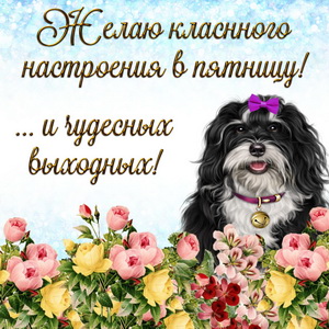 Открытка С пятницей! Классных выходных. Открытки хорошей пятницы друзья.