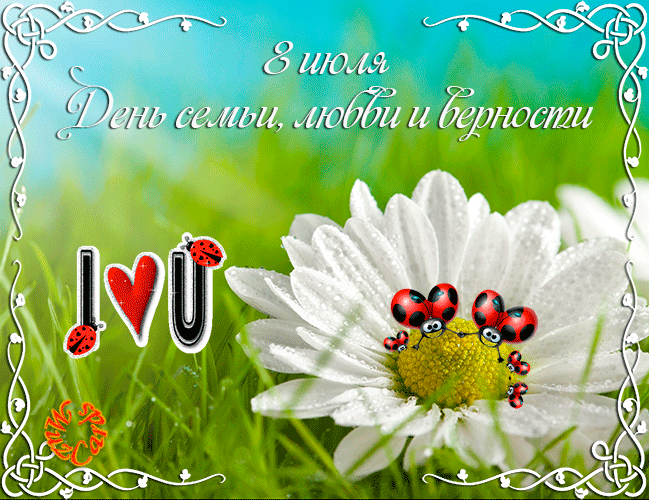 Картинки GIF с Днем семьи любви и верности. Открытки С днём семьи скачать бес...
