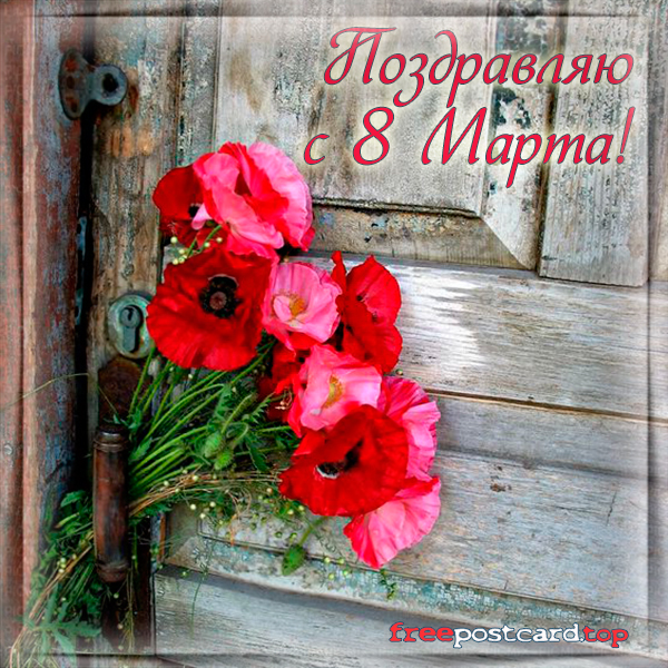 Ретро открытка ко Дню рождения с красными маками, васильками, ромашкой и клев...