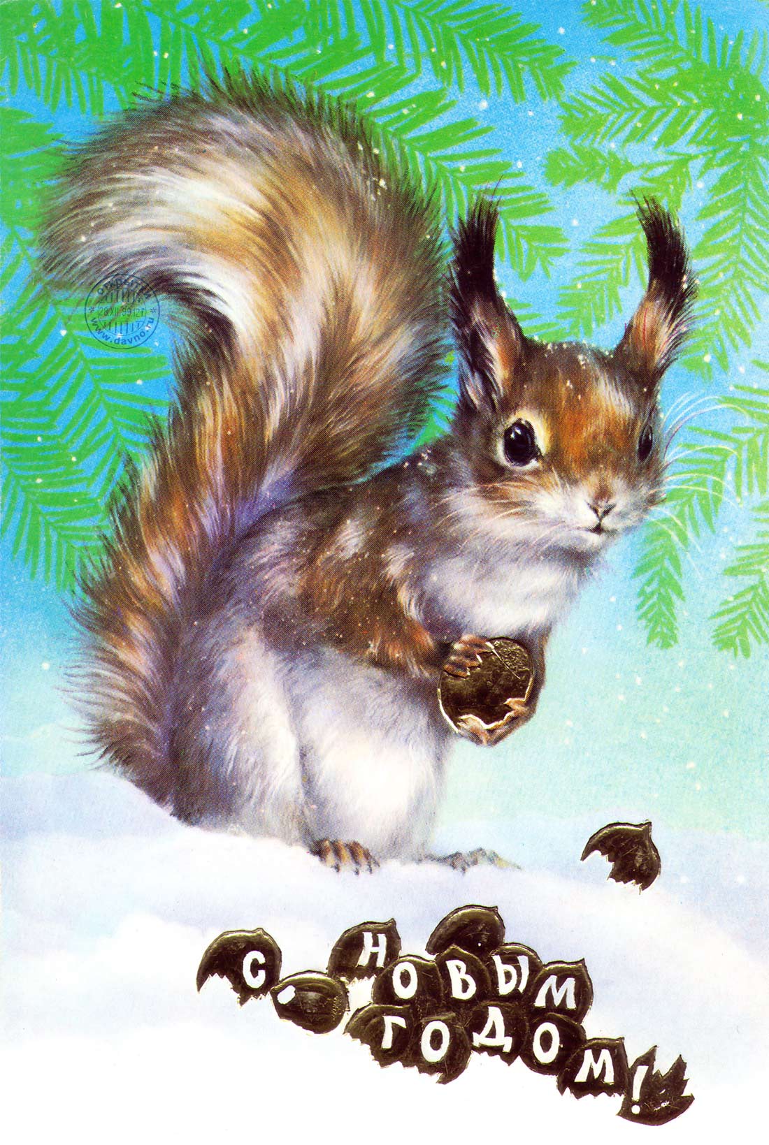 Смешные картинки с белочками. Открытка с белкой. Открытка белочка с днём рожд...