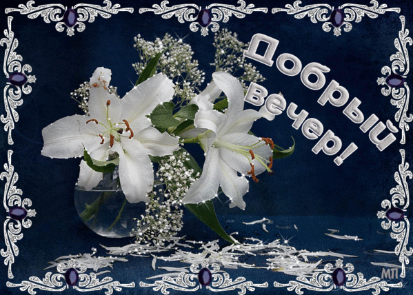 Картинки вечер прикольные. Прикольные картинки с добрым вечером.