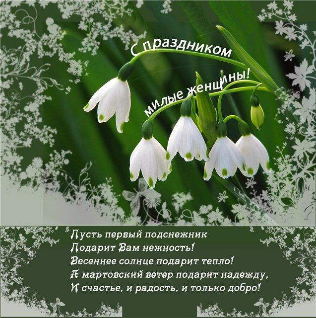 Открытки с 8 марта. Открытки с тюльпанами . открытки с котятами.