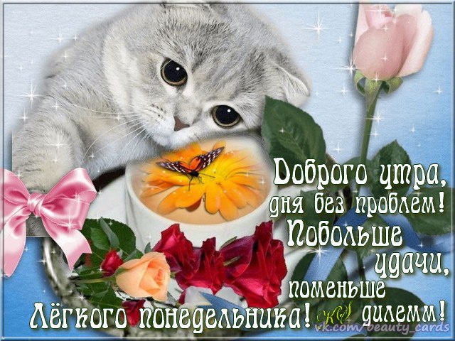 Картинка Удачного понедельника. Скачать картинки Удачного понедельника.