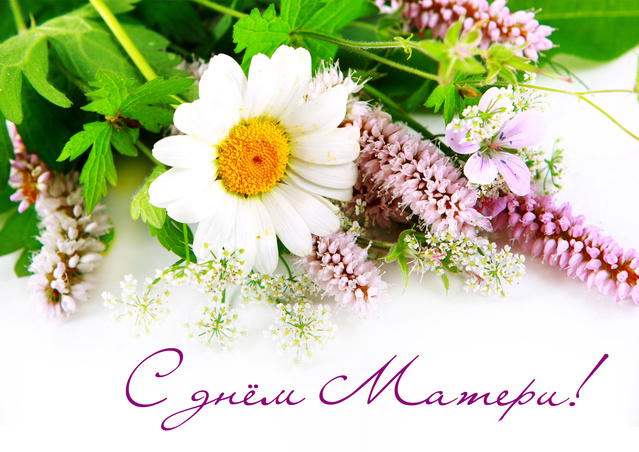 Картинка для свекрови с Днем матери, картинка поздравляю с Днём матери. 