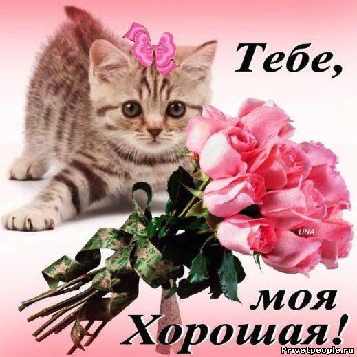 Открытка для любимой. Открытка цветы для любимой. Открытка с 8 мартом для люб...