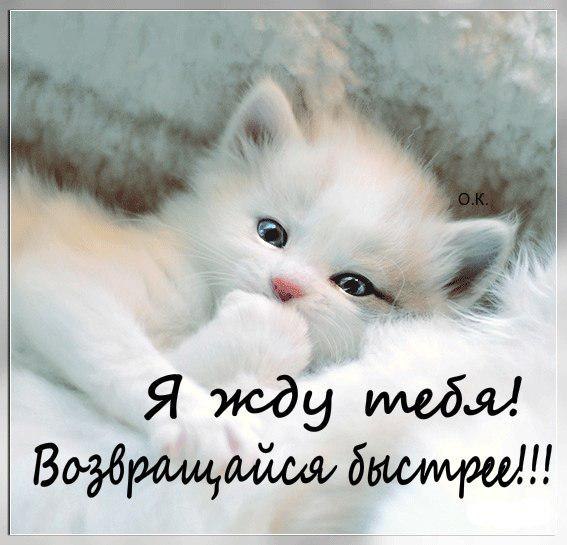 Картинка Возвращайся скорее я скучаю. Картинка Возвращайся домой.