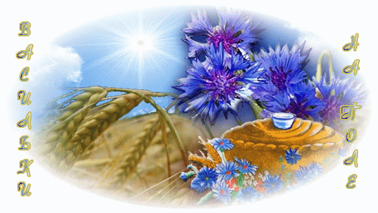 Открытка тебе в подарок Василёк добра и радости цветок. Открытка будь любимой...