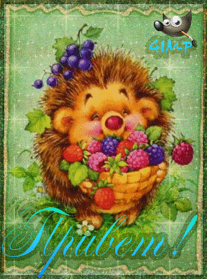 Привет как дела? Открытка с собакой Привет Желаю отличного настроения!