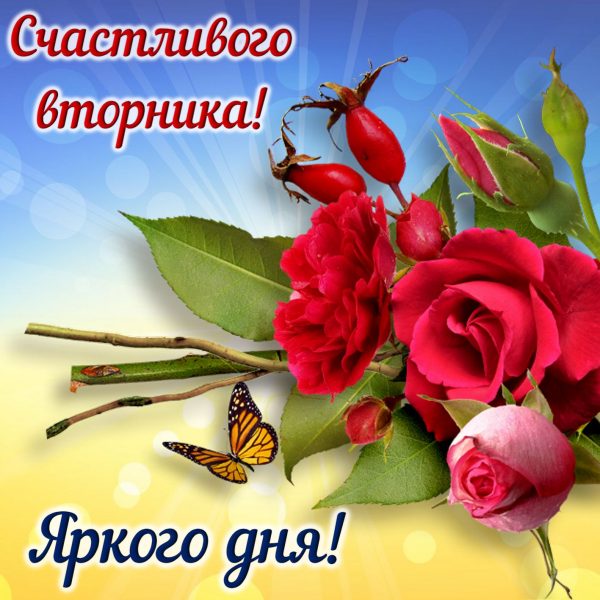 Доброе утро удачного вторника. Удачного вторника. Фото Удачного вторника.