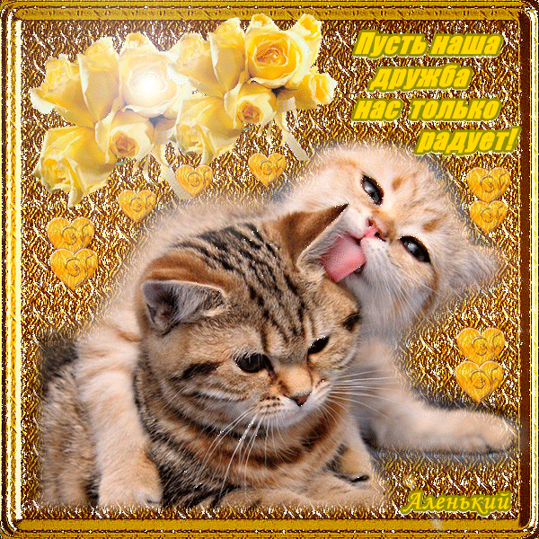 С днём рождения картинка с кошкой. Спокойной ночи картинка с кошками.