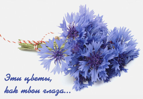 Васильками с днём рождения. Красивые открытки с васильками. 