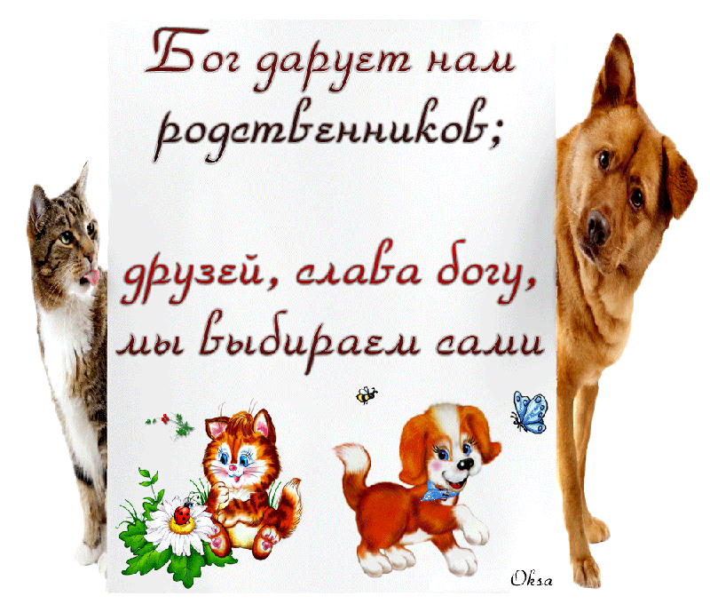 Красивые открытки для друзей. Красивые открытки с пожеланиями.