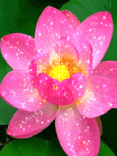 Открытка мерцающая светящиеся белый лотос. Открытка розовый Лотос сверкает.