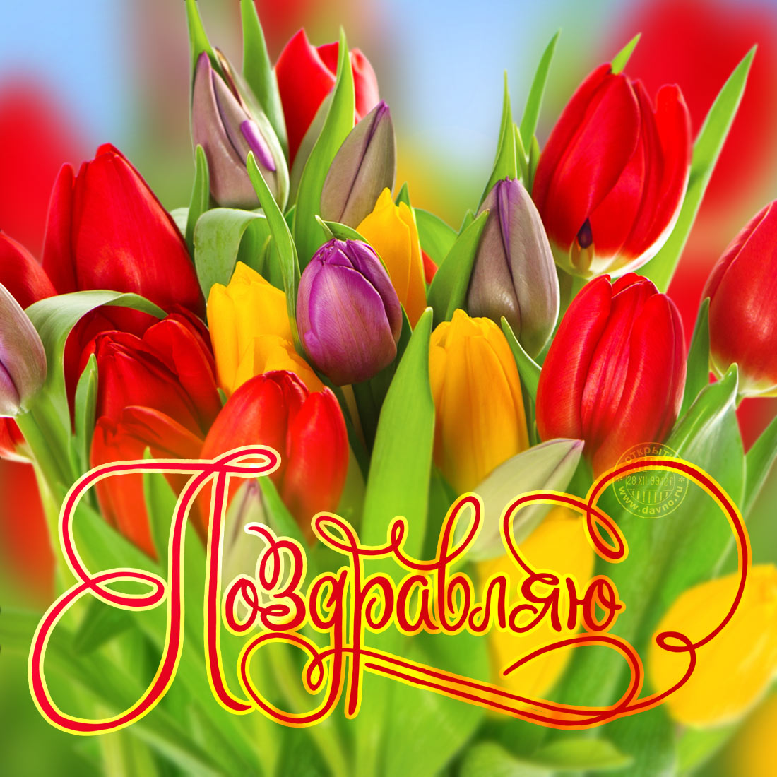 Открытка с цветами поздравляю. картинки с надписью Поздравляю.
