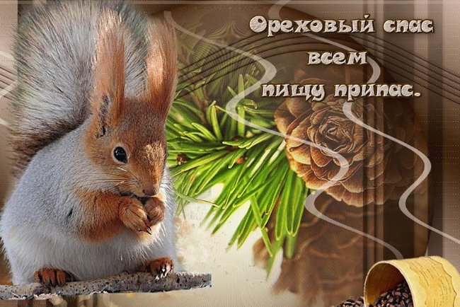 Открытка ты горстку орехов скорей освети чтоб в дом свой добро и любовь прине...