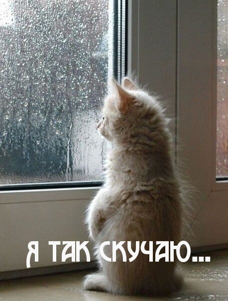 Красивые картинки для любимой жены скучаю. Картинки я скучаю по тебе любимая.