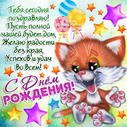 Смешные картинки котов без надписей. Смешные фотографии кошек карикатуры про ...