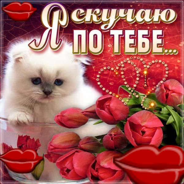 Открытки я скучаю без тебя. Открытки я скучаю по тебе подруга.