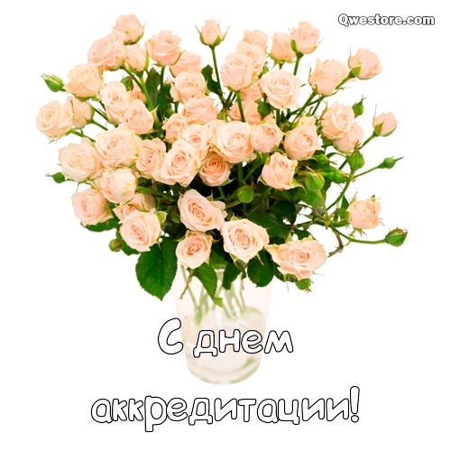 Открытка ко Дню рождения с белыми розами в коробке. Открытка для красавицы бе...