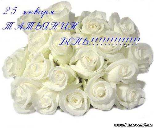 Фото белых роз дома. Белые розы букет открытка. Открытка Белые розы в руках.