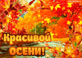 С первым днём осени. Пожелания теплой осени. Открытка с осенними деревьями с ...