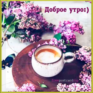 Открытка Доброе утро gif-анимация с бабочками и птицей сидящими на кусту сире...