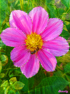 Открытка мерцающий цветок Космея. Открытка Доброе утро разными цветами мерцаю...