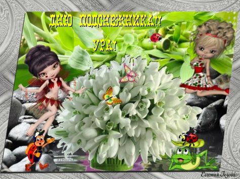 Открытки с Днем рождения подснежники. Показать открытки с Днем подснежника.
