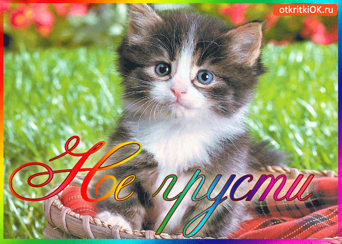 Открытка не грусти подруга. Открытки на тему не грусти. Открытки Не грусти вс...