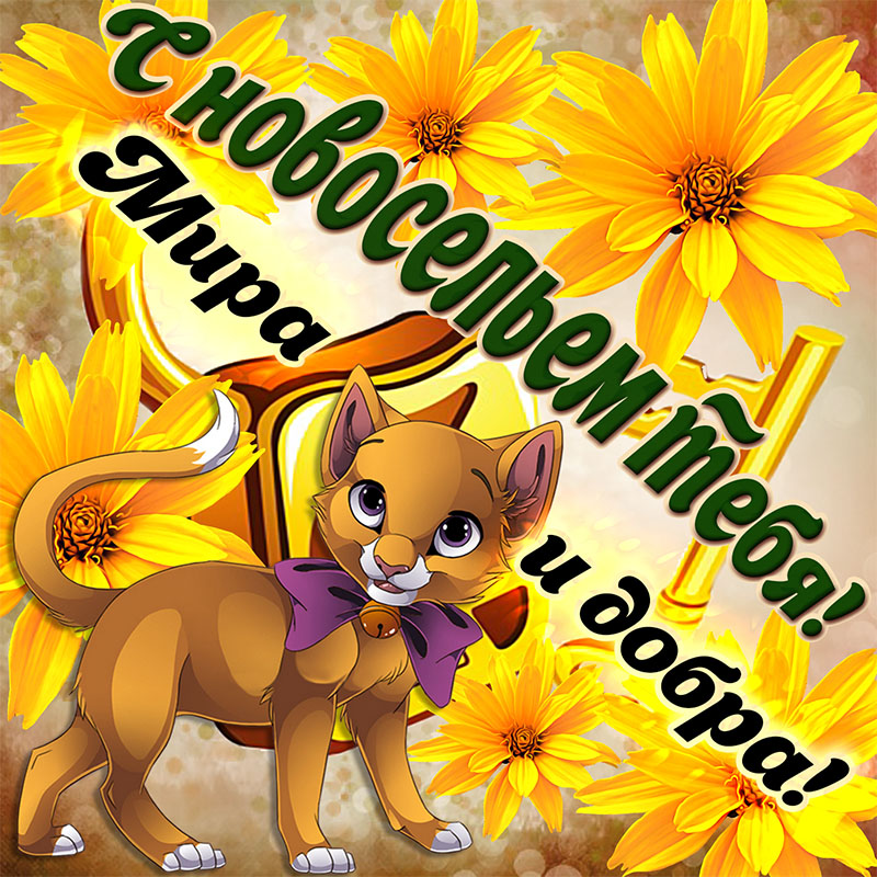 Поздравления с новосельем прикольные. В прозе С новосельем. 