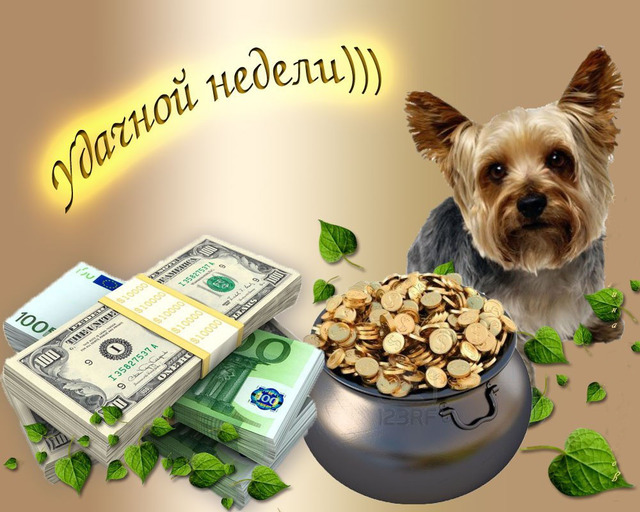 Открытка с пожеланиями улыбок. Открытка с деньгами и цветами удачной недели.