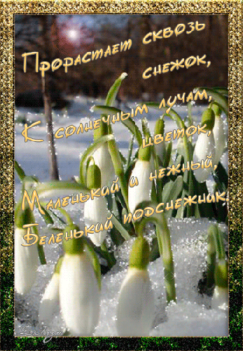 Фото подснежника скачать. Открытки с Днем подснежника. Картинки подснежники п...